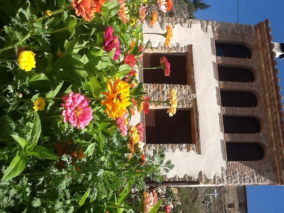 Casa Rural Caseta De L' Hort 비야프랑카 델 시드 객실 사진