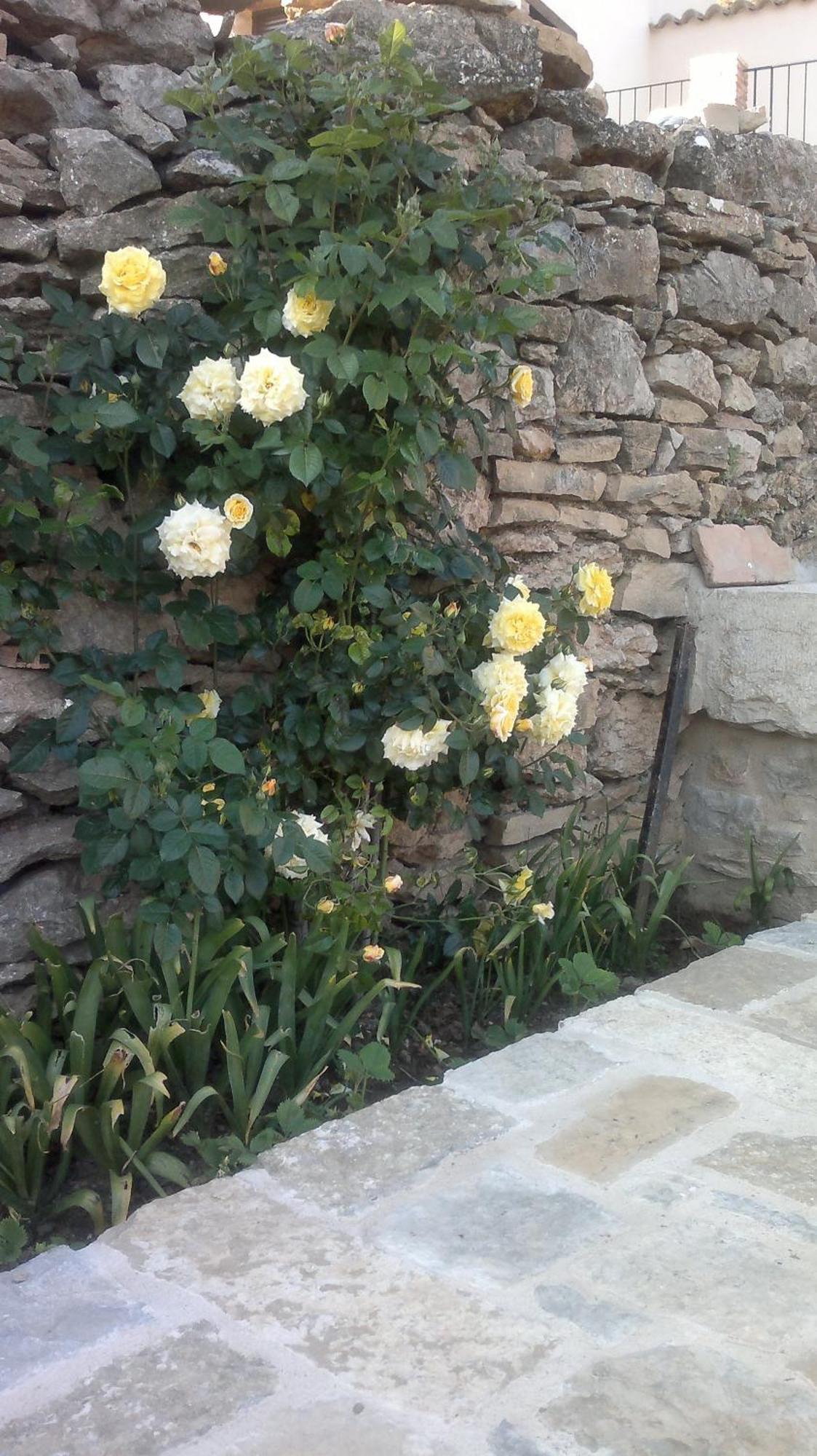 Casa Rural Caseta De L' Hort 비야프랑카 델 시드 외부 사진