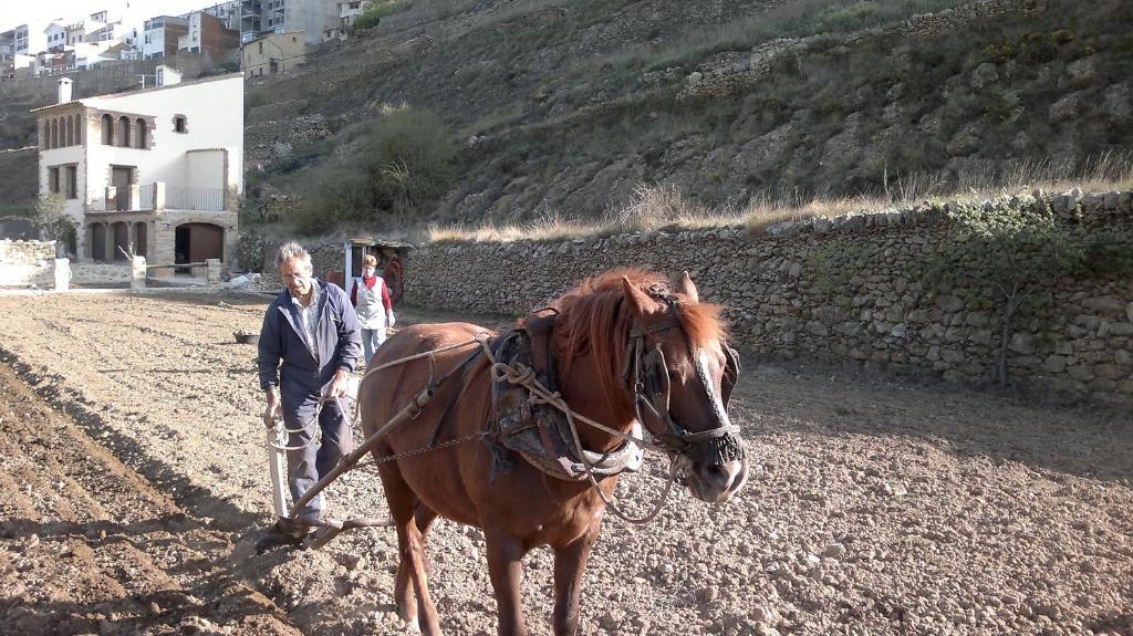 Casa Rural Caseta De L' Hort 비야프랑카 델 시드 외부 사진