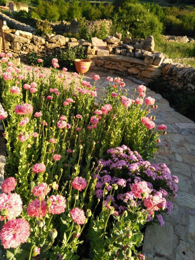 Casa Rural Caseta De L' Hort 비야프랑카 델 시드 외부 사진