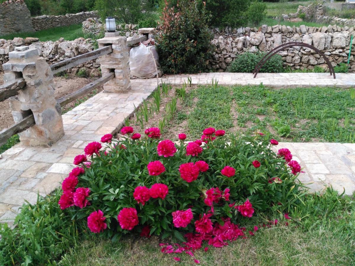 Casa Rural Caseta De L' Hort 비야프랑카 델 시드 외부 사진