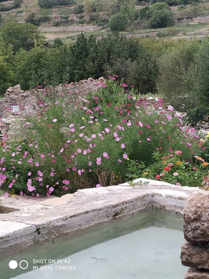 Casa Rural Caseta De L' Hort 비야프랑카 델 시드 외부 사진